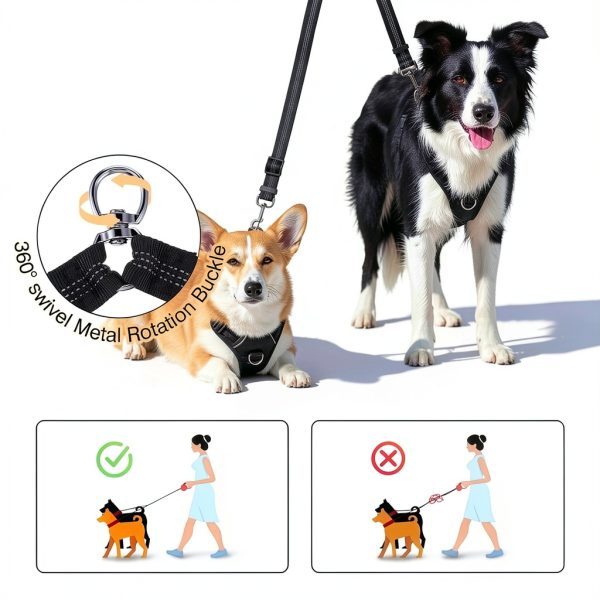 ElevateTech Double Dog Leash for Two Dogs Nylon-3