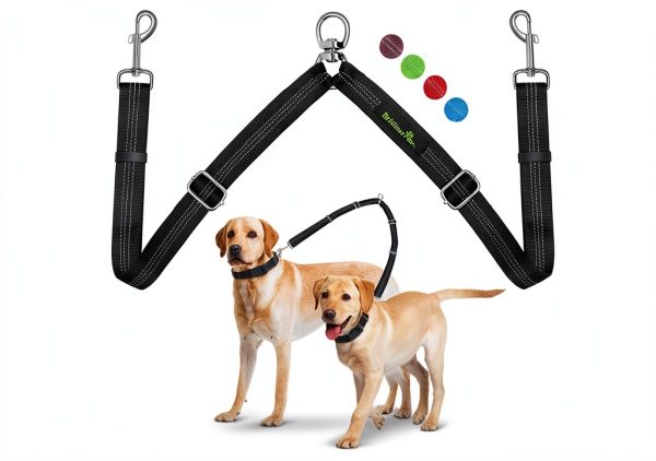 Double Dog Leash Brilliant Paw Nylon Swivel-0