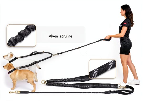 Double Dog Leash by QUAN DUO DUO Pet Supplies-2