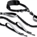 Hands Free Leash for 2 Dogs SparklyPets-0