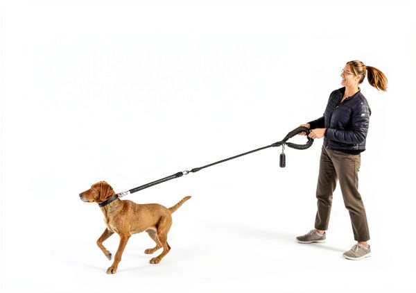 Dog Double Leash Heima Heavy Duty 48in Reflective-4