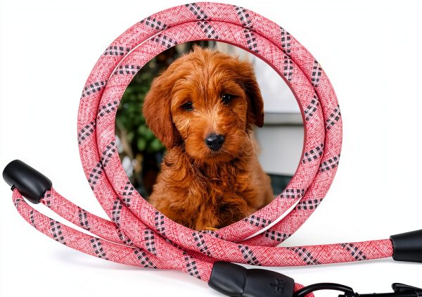 QINKOUDIH Dog Leash for 4 Dogs-3