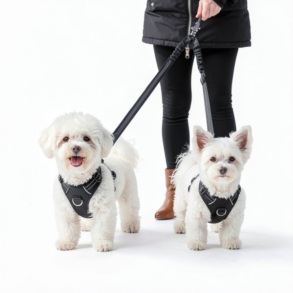 ElevateTech Double Dog Leash for Two Dogs Nylon-6