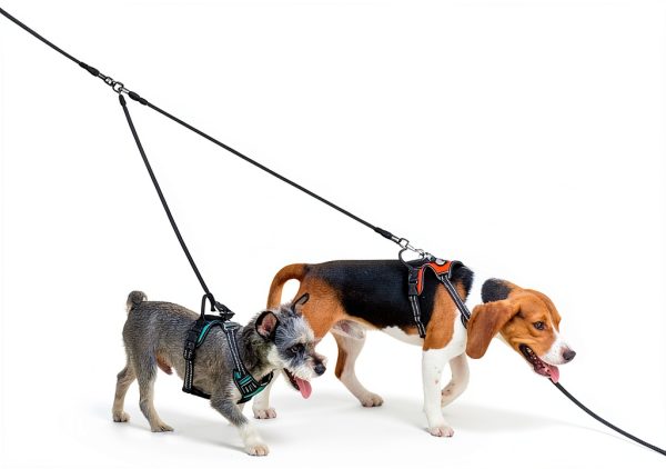 Taglory Double Dog Leash Coupler 30 Inch Reflective Nylon Orange-1