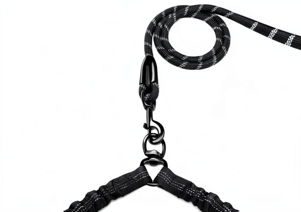 iYoPets Double Dog Leash with Bungee Extension, 30in Rope, Black/Blue-1