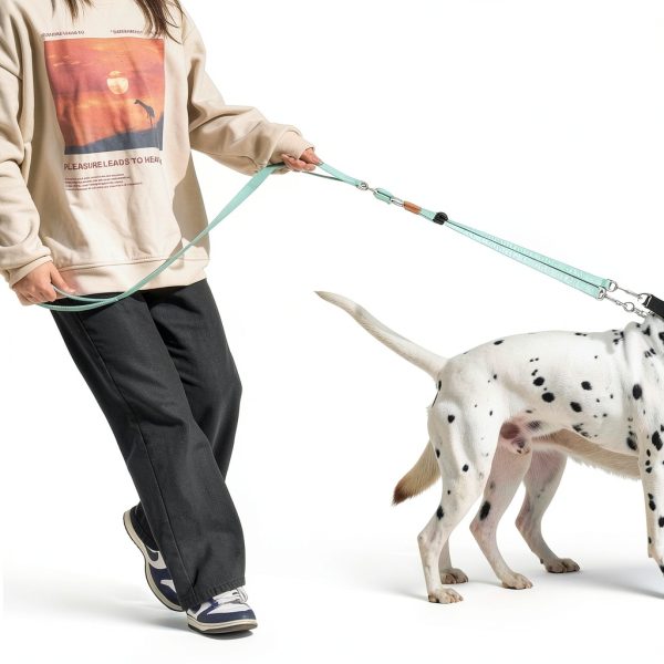 HowGo Dual Dog Leash 2‑Dog Slip Leash with Rotating Handles-7