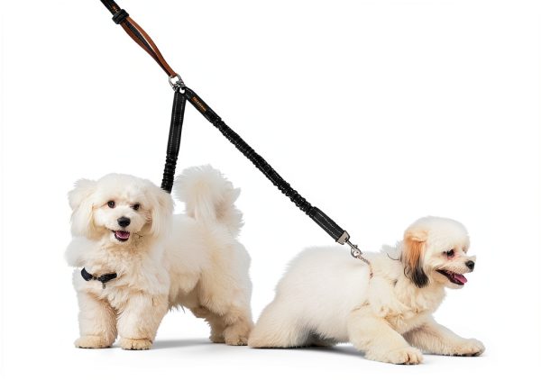 Dog Double Leash MingXpets Splitter Small Large Multiple Colors-6